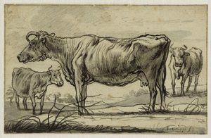 Kolme lehmää laitumella (Lugt 16) tekijältä Aelbert Cuyp