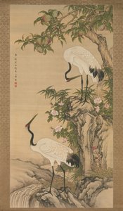 Nosturit, persikkapuu ja kiinalaiset ruusut, 1700-luvun alku. tekijältä After Shen Quan