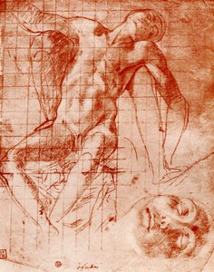 Tutkimuksia, 1913. tekijältä Agnolo Bronzino