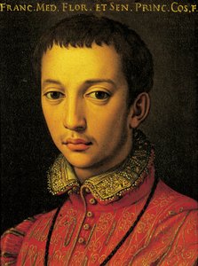 Francesco I de Medicin muotokuva (Firenze tekijältä Agnolo Bronzino