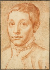 Muotokuva taiteilijan pojasta, Antonio Carracci tekijältä Agostino Carracci