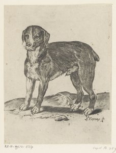 seisova koira tekijältä Agostino Carracci