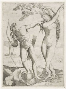 Apollo Daphnessa tekijältä Agostino Veneziano