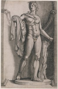 Rooman loiston peili: Apollo Belvedere, n. 1514-36, n. 1514-36. tekijältä Agostino Veneziano
