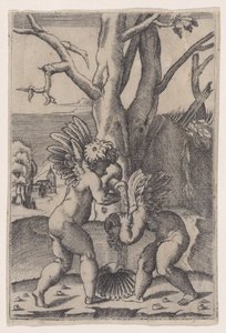 Kaksi Cupidoa, n. 1519. tekijältä Agostino Veneziano