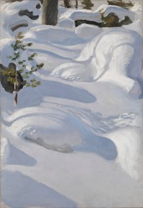  tekijältä Akseli Gallen-Kallela