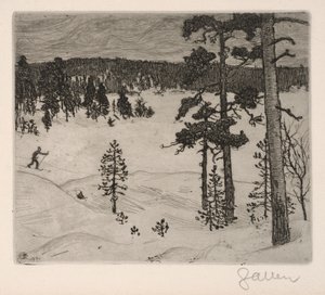 Talven tumma huntu tekijältä Akseli Gallen-Kallela