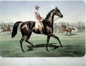 Kilpailu: "" Suzerain, Chantillyn derbyn voittaja vuonna 1868" Litografia Albert Adam (1833-?) Yksityiskokoelma