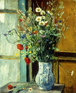 Luonnonkukat; Fleurs des Champs
