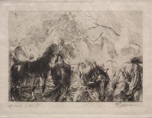 Hevosmarkkinat Algerissa tekijältä Albert Besnard
