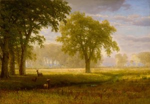 Hirvi Oak Grovessa (Tuolumne Meadows) tekijältä Albert Bierstadt