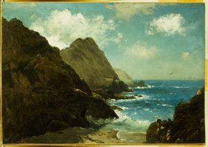 Farallon saaret tekijältä Albert Bierstadt