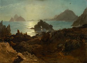 Farallon-saaret, Tyynimeri, Kalifornia tekijältä Albert Bierstadt