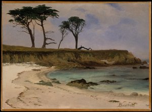 Sea Cove tekijältä Albert Bierstadt