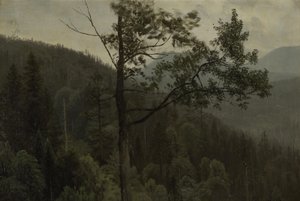Puiden peittämät vuoret tekijältä Albert Bierstadt