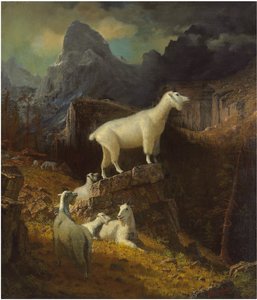 Tuntematon kuva tekijältä Albert Bierstadt