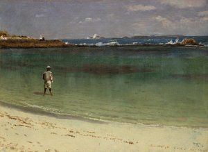 Länsi-Intian rannikkokohtaus, n.1880-93 (öljy paperille kiinnitettynä kuitulevylle). tekijältä Albert Bierstadt