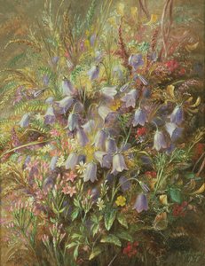 Jäniksenkelloja ja muita metsän kukkia ja ruohoja tekijältä Albert Durer Lucas