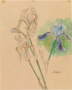 Iirikset tekijältä Albert Edelfelt