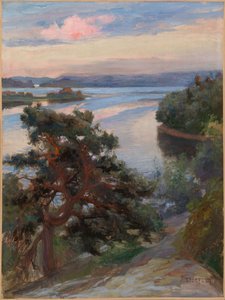 Maisema Haikosta tekijältä Albert Edelfelt