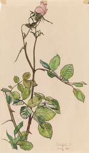  tekijältä Albert Edelfelt