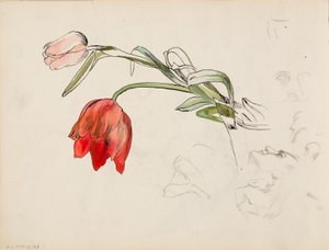 Tulppaaneita, kasvotutkielmia tekijältä Albert Edelfelt