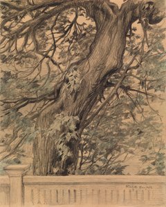 Nimetön tekijältä Albert Edelfelt