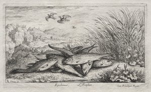 Makean veden kalat, osa II: Epelanus, L