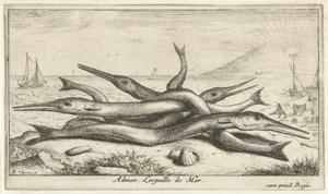 Nokkakalaa rannalla Admos. Lesguille de Mer. (otsikko kohteen päällä) Kalat ja muut meren eläimet – Saltwater Third Series (sarjan nimi) Poissons de mer (sarjan nimi) tekijältä Albert Flamen