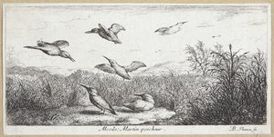 Kingfisher (Alcedo) tekijältä Albert Flamen