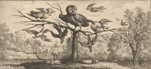 Monedula, Chouëtte Pöllö: Livre d