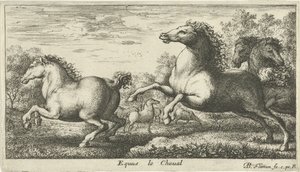 Hevoset Equus le Cheval (otsikko esineessä) Eri eläinlajit (sarjan nimi) tekijältä Albert Flamen