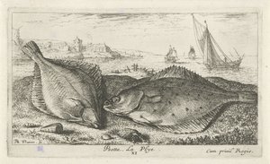 Kaksi kampelaa rannalla psetta. La Plye. (otsikko esineessä) Kalat ja muut meren eläimet - suolaisen veden toinen sarja (sarjan nimi) Poissons de mer (sarjan nimi) tekijältä Albert Flamen