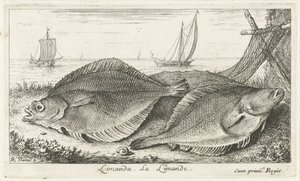 Kaksi tappia rannalla limanda. La Limande. (otsikko esineessä) Kalat ja muut meren eläimet - suolaisen veden kolmas sarja (sarjan nimi) Poissons de mer (sarjan nimi) tekijältä Albert Flamen