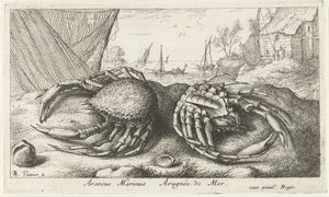Kaksi hämähäkkirapua lähellä kalaverkkoa Araneus Marinus Aragnée de Mer (otsikko esineessä) Kalat ja muut meren eläimet - suolaisen veden toinen sarja (sarjan nimi) Poissons de mer (sarjan nimi) tekijältä Albert Flamen