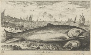 Kaksi lohta rannalla Salmo. Le Saulmon (otsikko esineessä) Kalat ja muut meren eläimet - suolaisen veden ensimmäinen sarja (sarjan nimi) Diverse Especes de Poissons de mer (sarjan nimi) tekijältä Albert Flamen