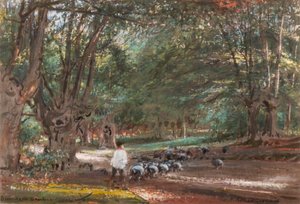 Burnham Beeches (akvarelli ja vartalovärit) tekijältä Albert Goodwin