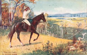 Australialaiset tyypit: Boundary Rider (värilitra): Boundary Rider (värilitra)