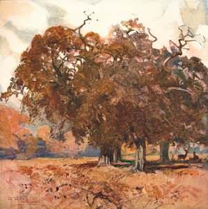 Maisema, 1904