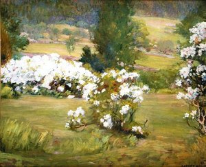 Blooming Flowers, n.1925 (öljy kankaalle)