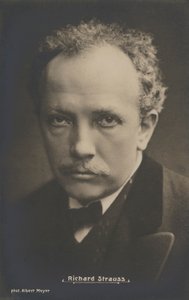Muotokuva säveltäjä Richard Straussista (m/v kuva) tekijältä Albert Meyer