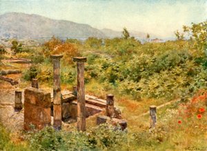 Näkymä Pompejista tekijältä Alberto Pisa