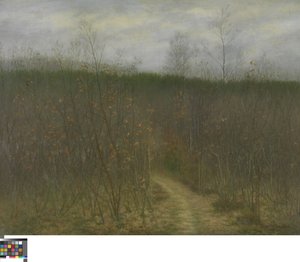 Sint-Martens-Latemissa sijaitseva metsäalue tekijältä Albijn Van den Abeele