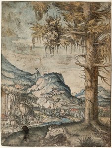 Saksa: Suuri kuusi Suuri kuusi tekijältä Albrecht Altdorfer