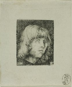 Nuoren miehen pää tekijältä Albrecht Altdorfer