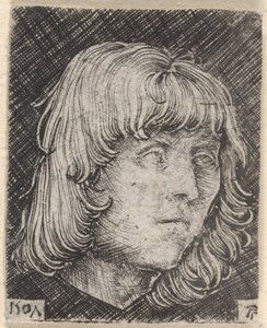 Nuoren miehen pää tekijältä Albrecht Altdorfer