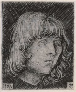Nuoren miehen pää tekijältä Albrecht Altdorfer