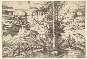 Maisema tuplakuusen kanssa, n. 1521-22. tekijältä Albrecht Altdorfer