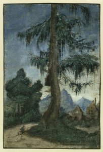 Maisema kuusen kanssa, n. 1522. tekijältä Albrecht Altdorfer