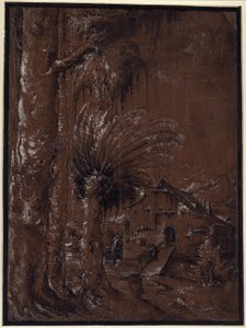 Maisema ja vesimylly tekijältä Albrecht Altdorfer